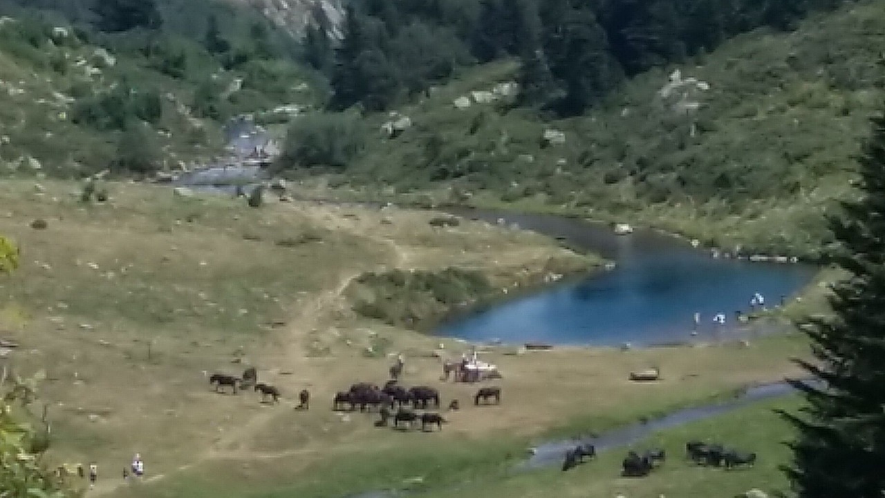 Photo of Others in Merens-les-Vals