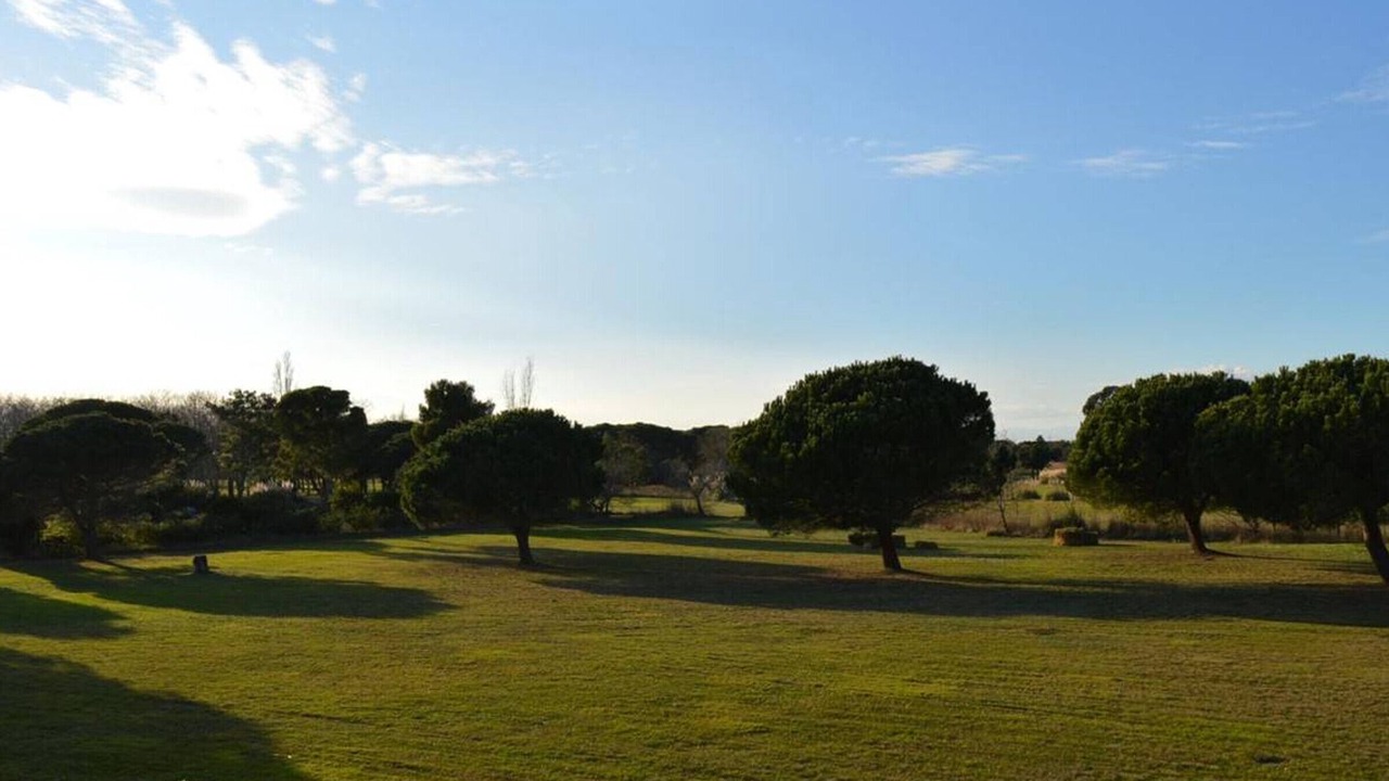 Photo of Others in Saint-Cyprien Plage