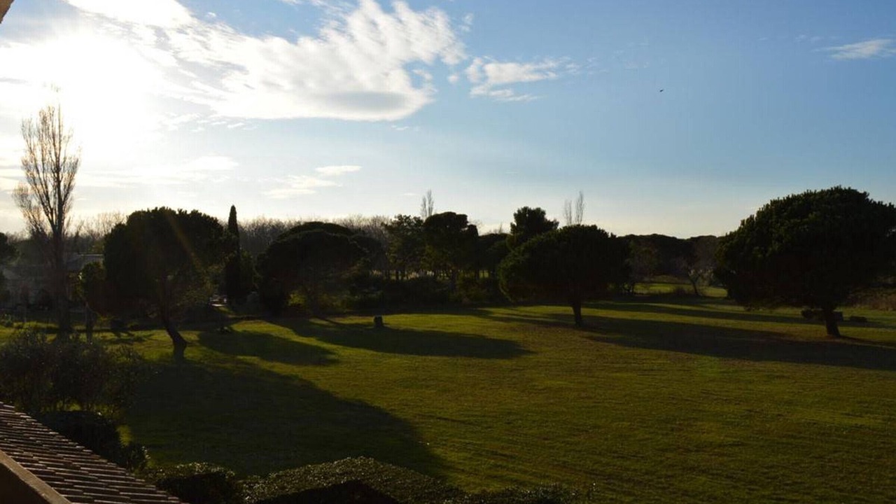 Photo of Outdoor in Saint-Cyprien Plage