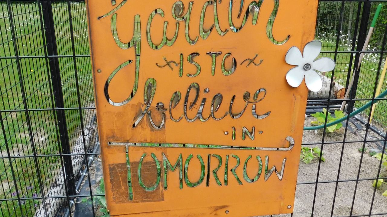 Photo of Outdoor in Sequim