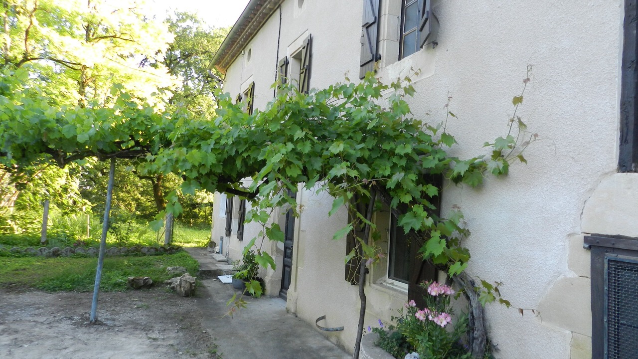 Photo of Outdoor in Lombers