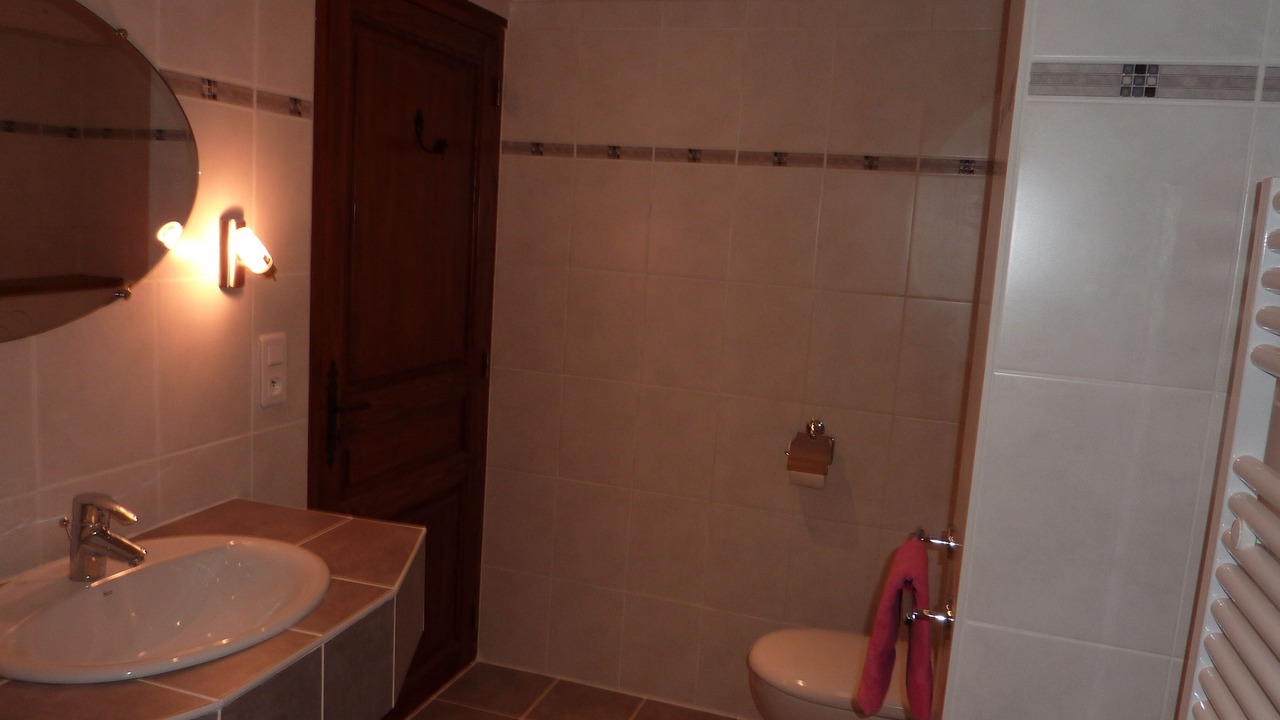 Photo of Bathroom in Montriond