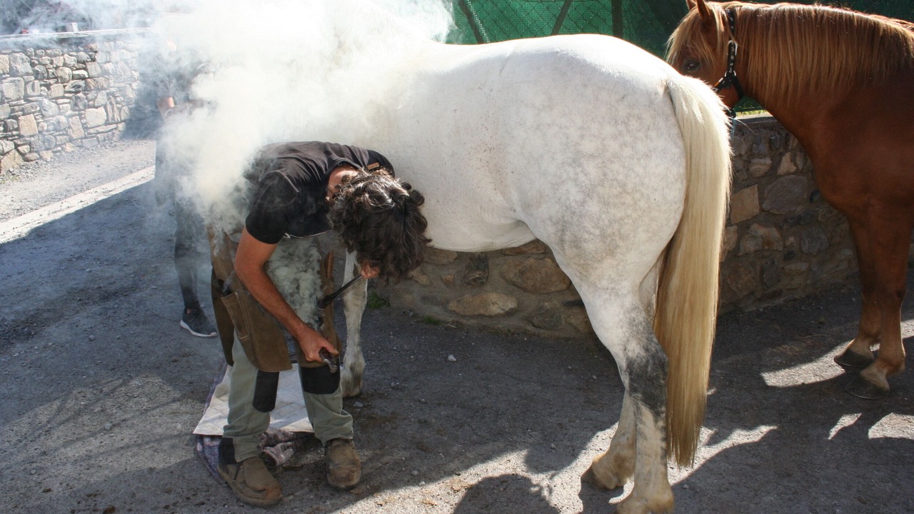 Photo of Others in Saint-Lary-Soulan