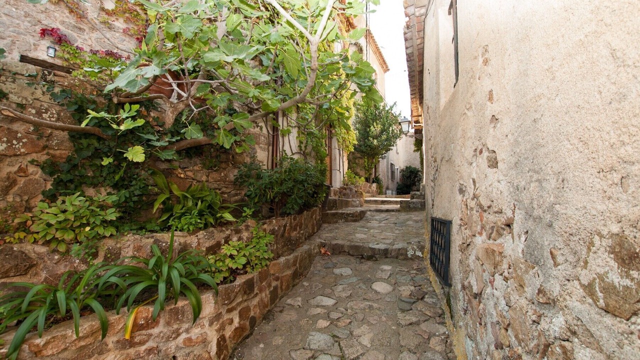 Photo of Outdoor in Old Town