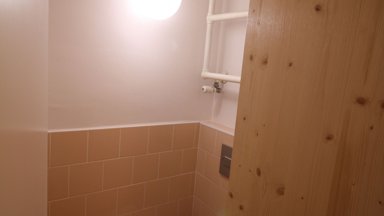 Photo of Bathroom in La Llacuna