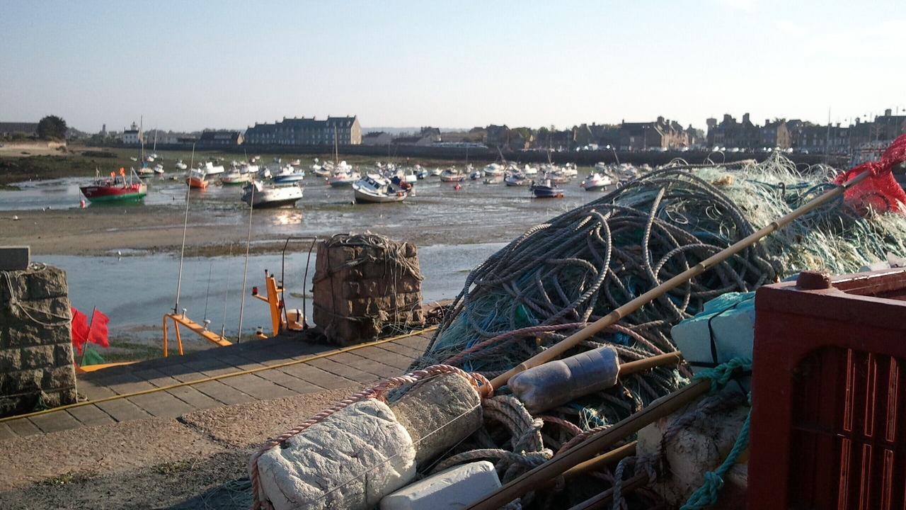 Photo of Others in Saint-Marcouf