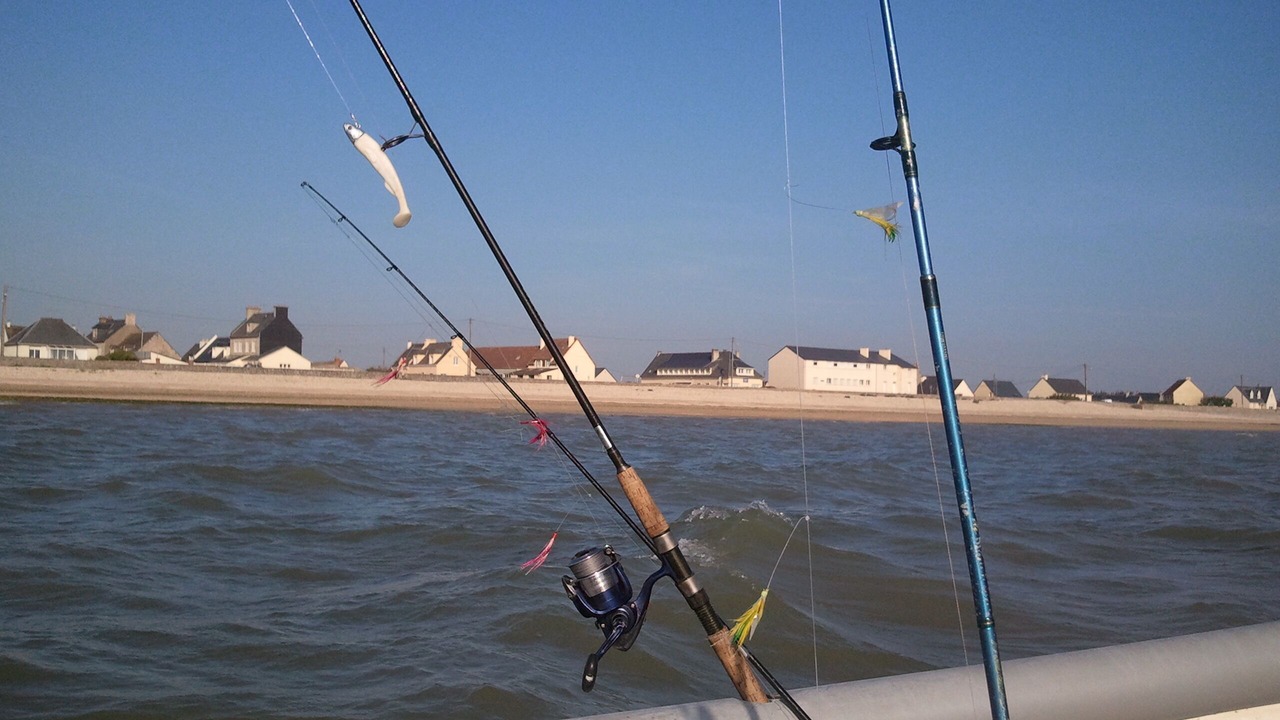 Photo of Others in Saint-Marcouf