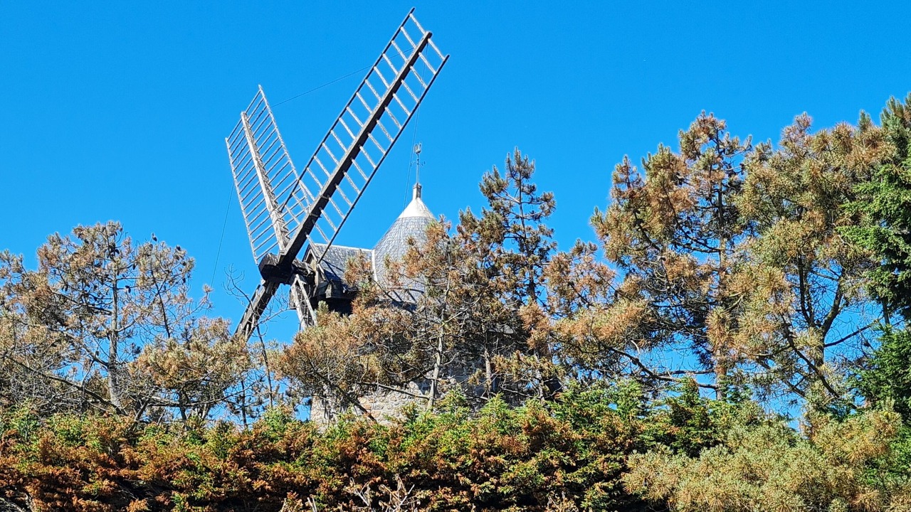 Photo of Outdoor in Saint-Marcouf