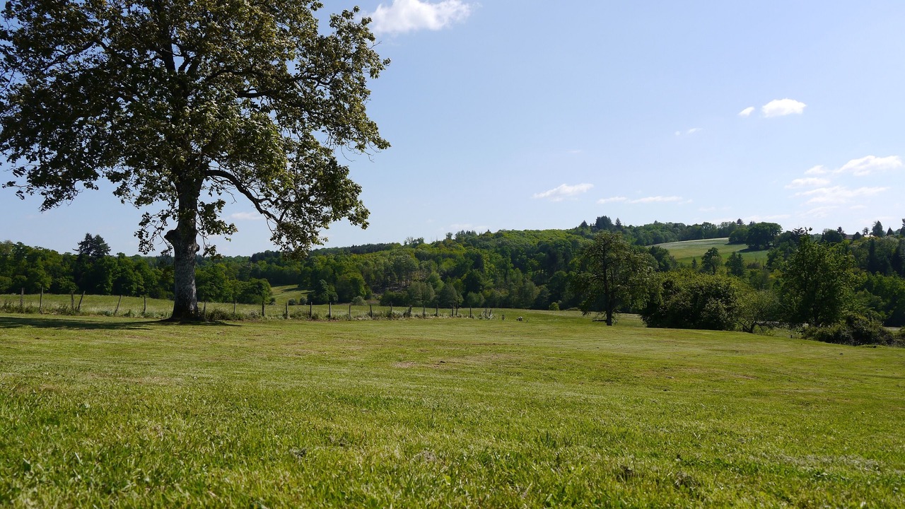 Photo of Others in La Roche-l'Abeille