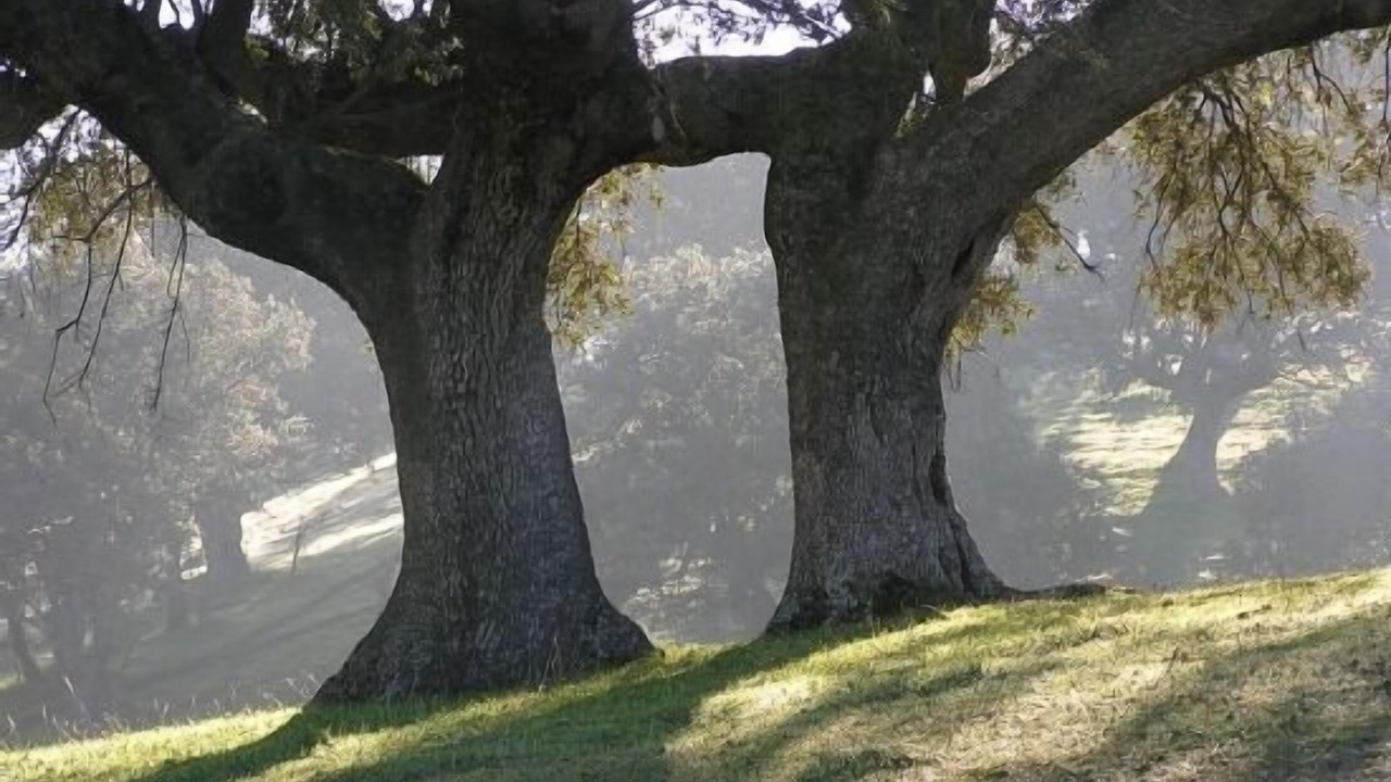 Photo of Outdoor in San Pelayo