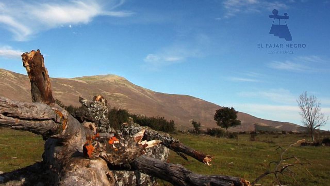 Photo of Outdoor in Majaelrayo
