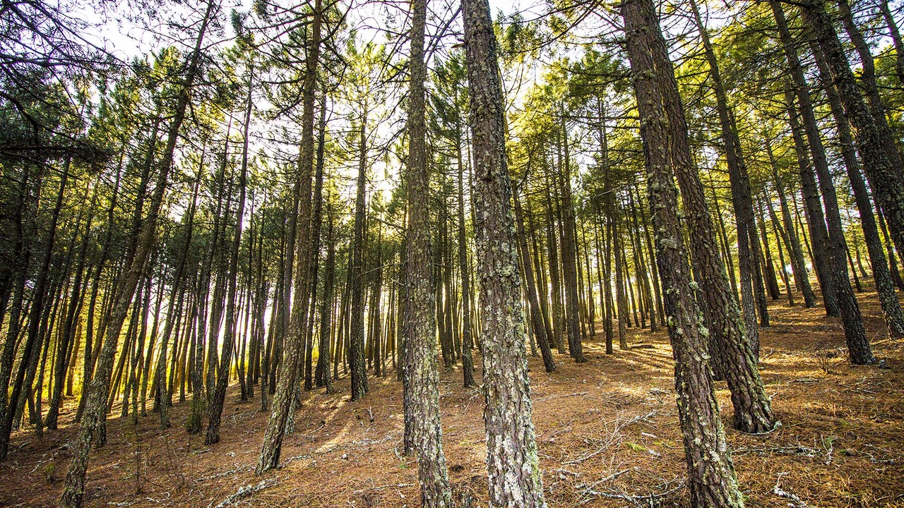 Photo of Outdoor in Majaelrayo