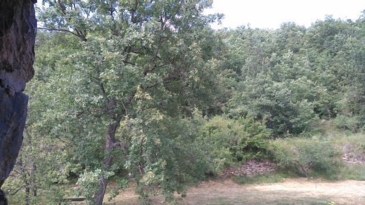 Photo of Outdoor in Erdo