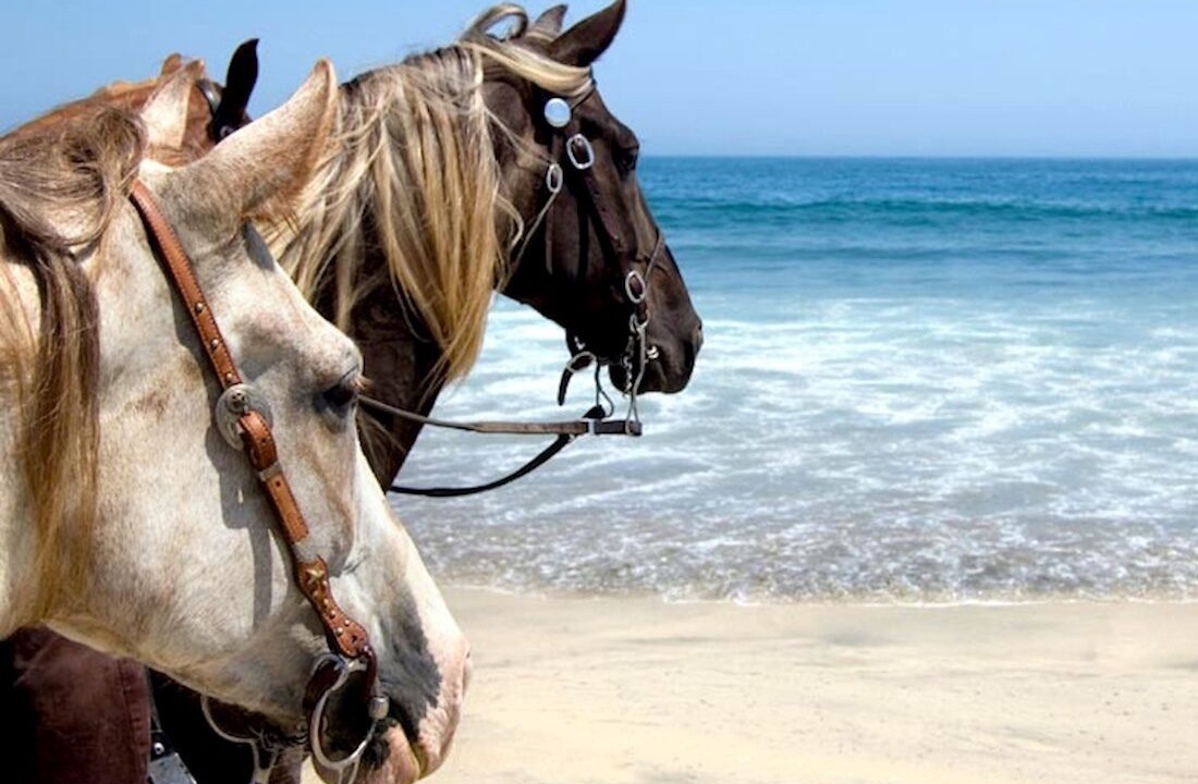 Photo of Others in Las Galeras