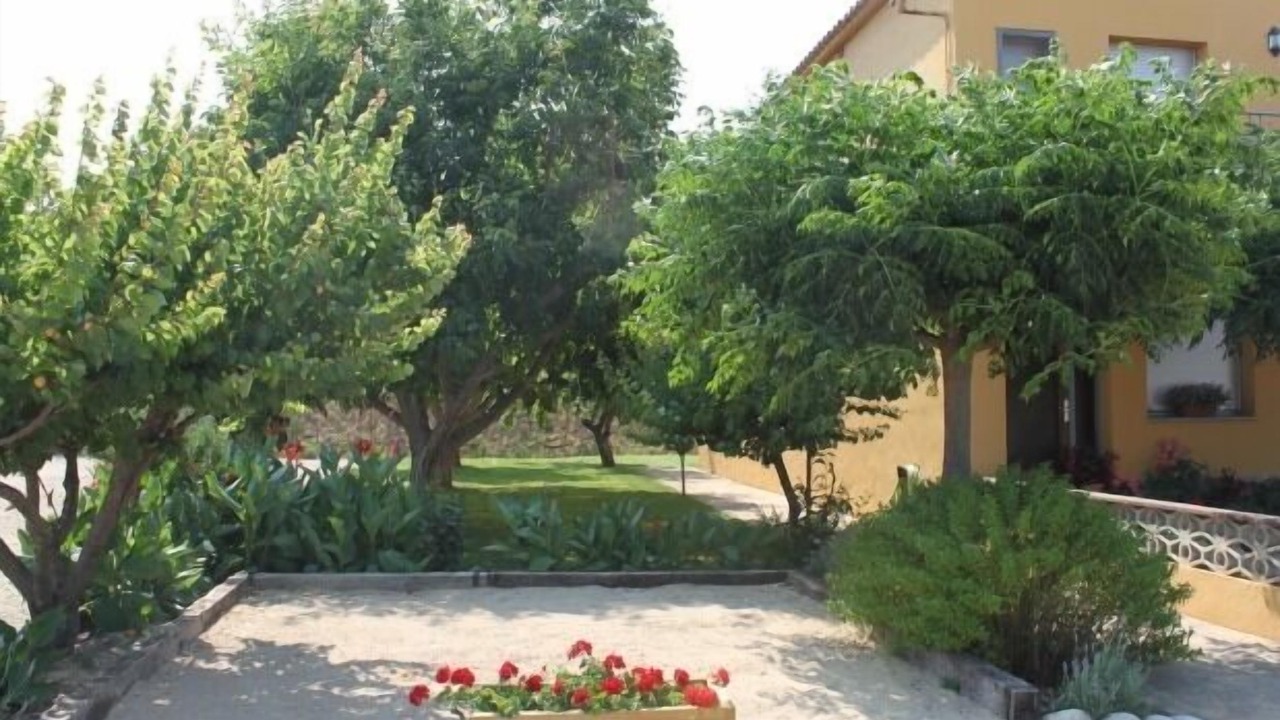 Photo of Outdoor in Navata
