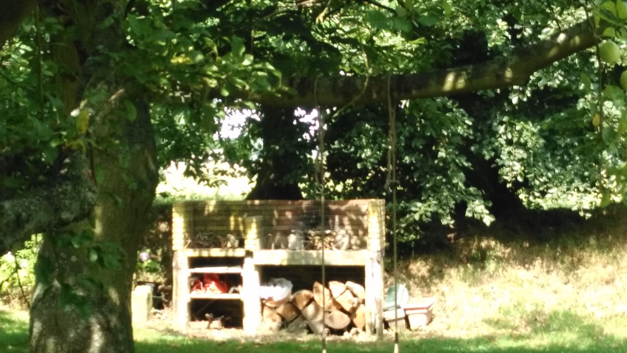 Photo of Outdoor in Sausseuzemare-en-Caux