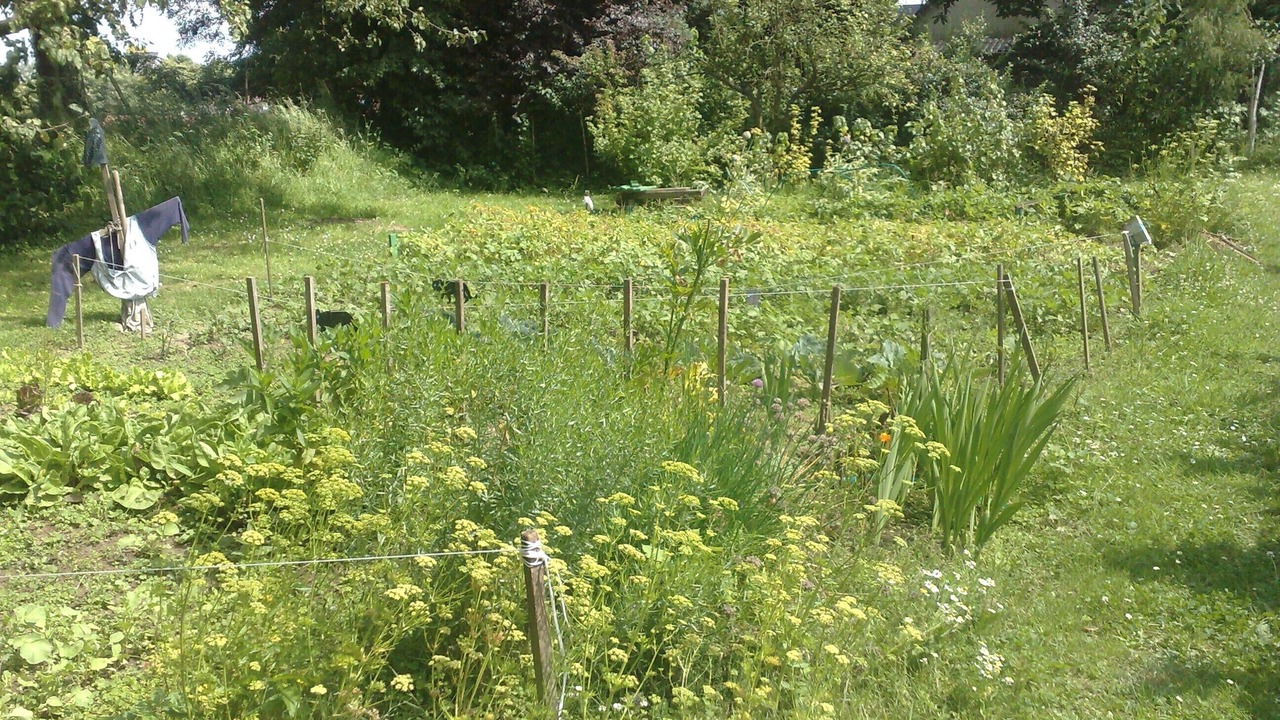 Photo of Outdoor in Sausseuzemare-en-Caux