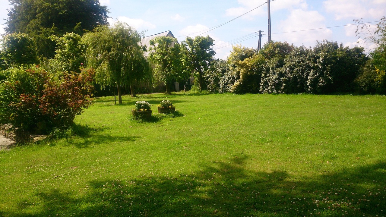 Photo of Outdoor in Sausseuzemare-en-Caux