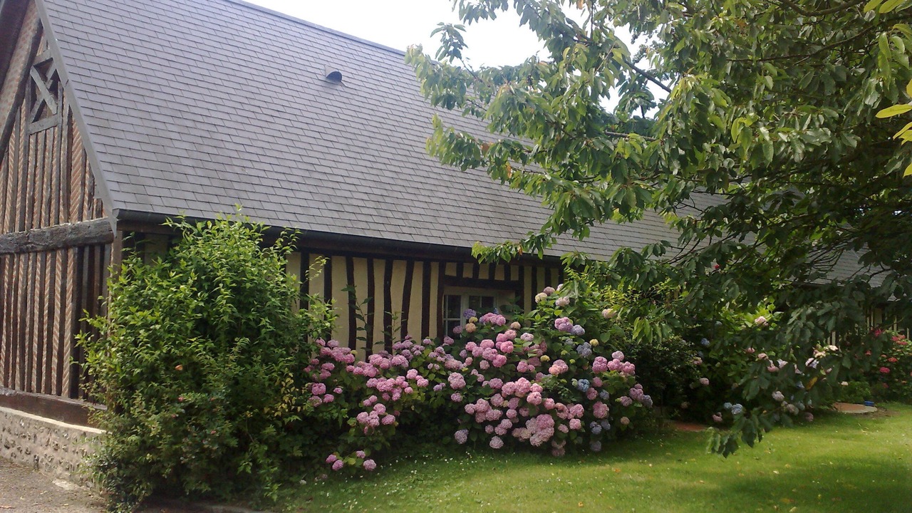 Photo of Outdoor in Sausseuzemare-en-Caux