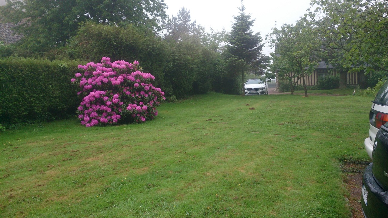 Photo of Outdoor in Sausseuzemare-en-Caux