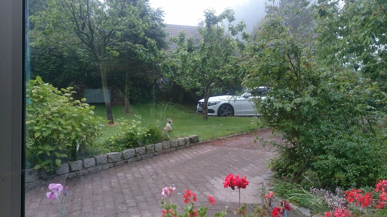 Photo of Outdoor in Sausseuzemare-en-Caux