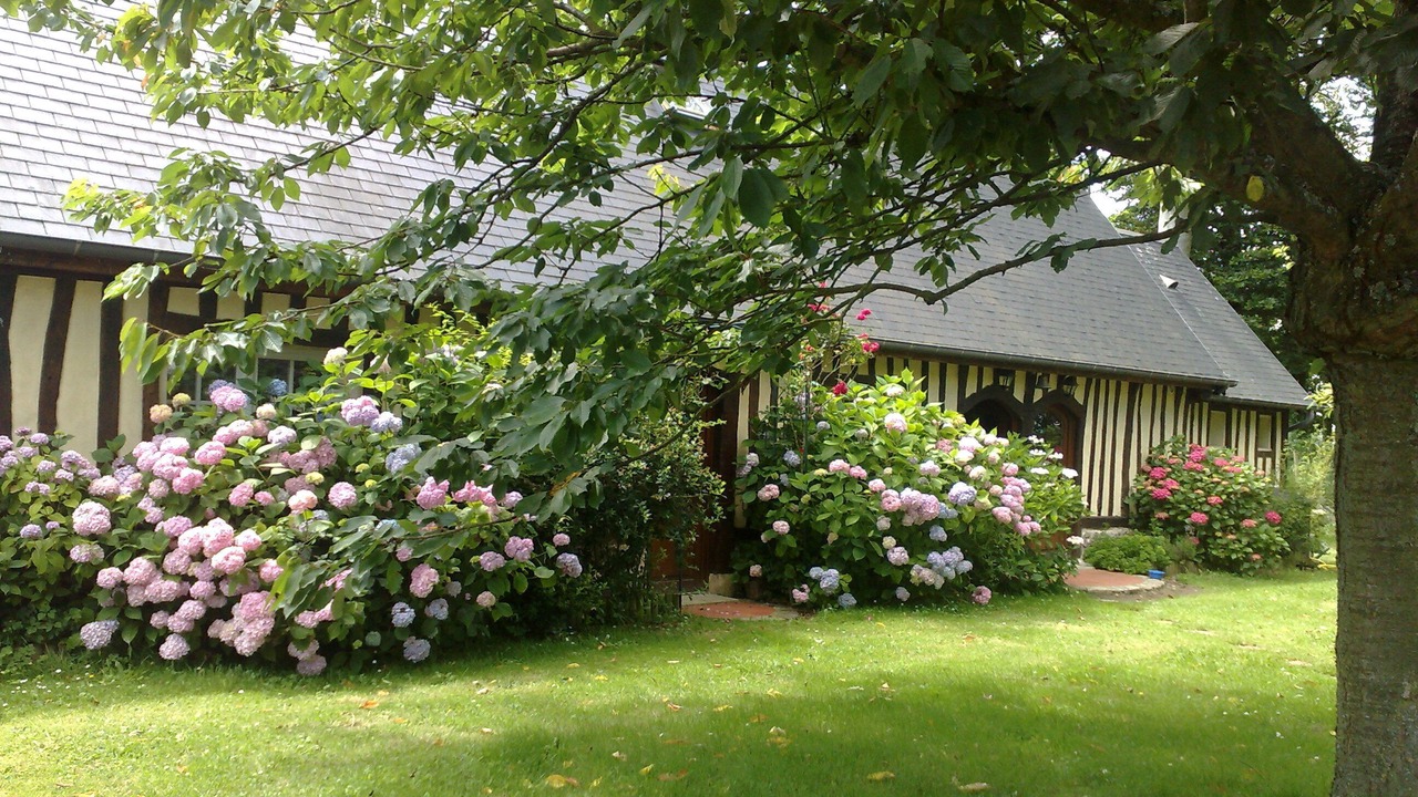 Photo of Outdoor in Sausseuzemare-en-Caux
