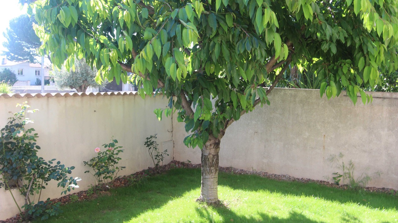 Photo of Outdoor in Mauguio