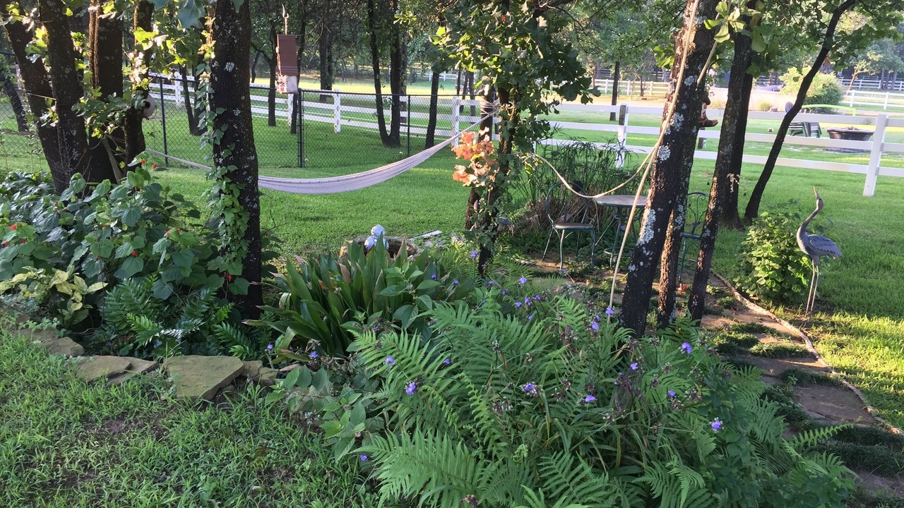 Photo of Outdoor in Mansfield