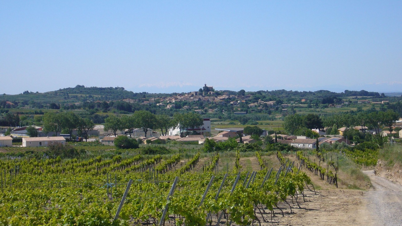 Photo of Others in Saint-Pargoire