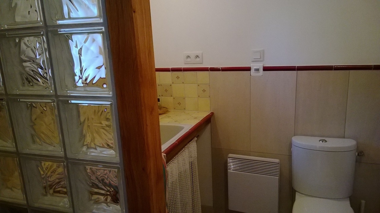 Photo of Bathroom in Saint-Germain-de-Coulamer