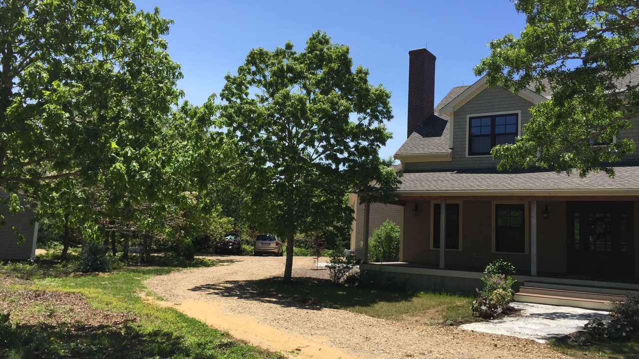 Photo of Others in West Tisbury