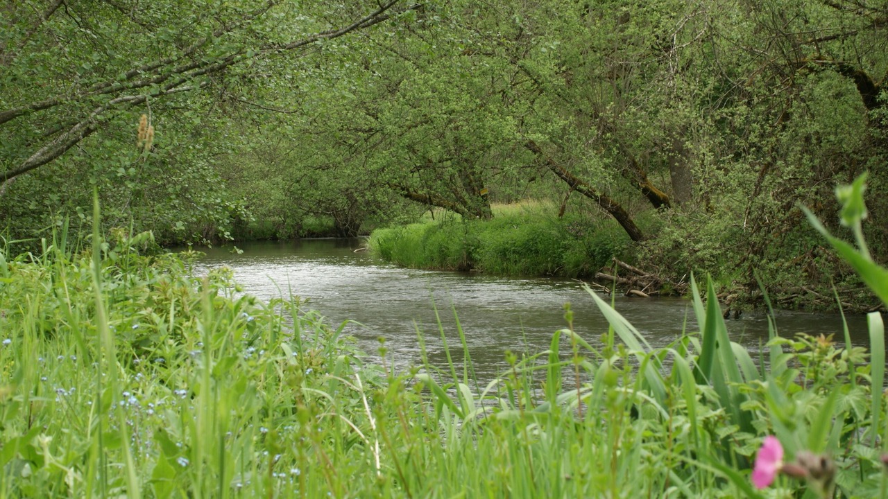 Photo of Outdoor in Les Ancizes-Comps