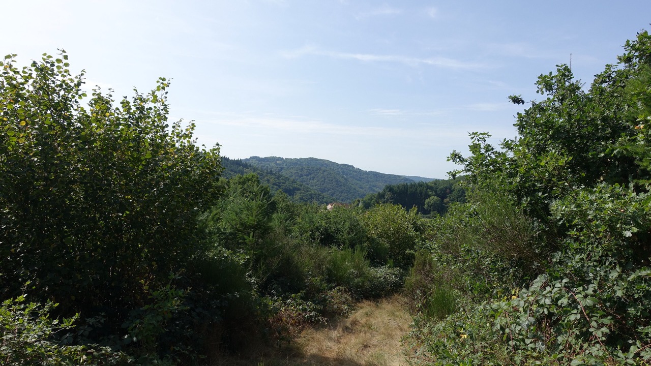 Photo of Outdoor in Les Ancizes-Comps