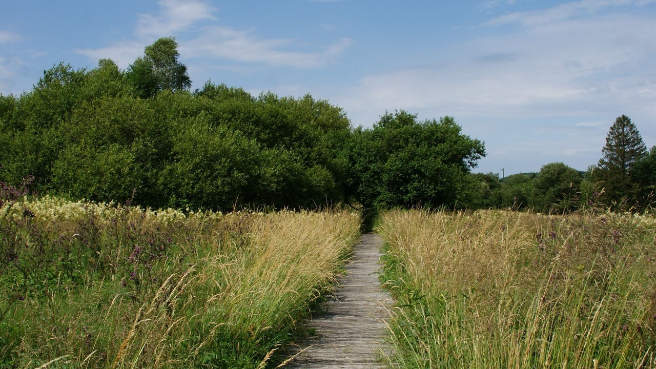 Photo of Outdoor in Les Ancizes-Comps