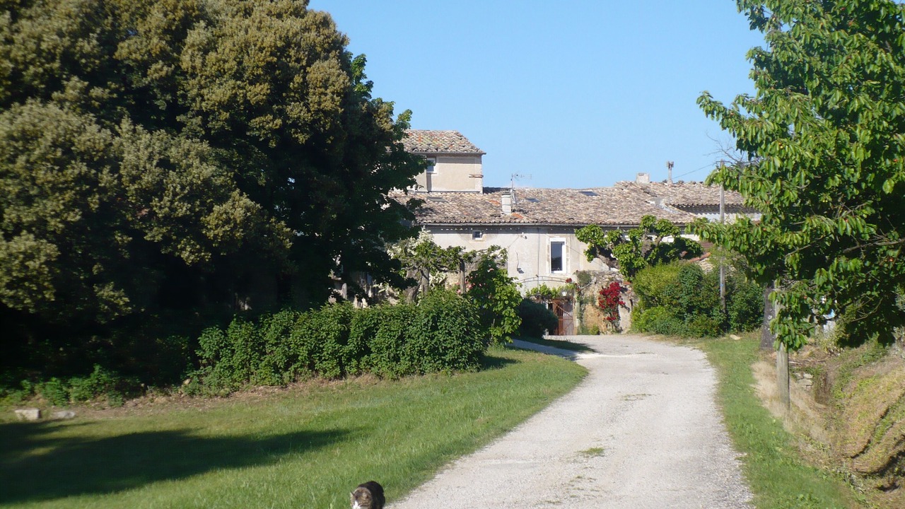 Photo of Outdoor in Grillon