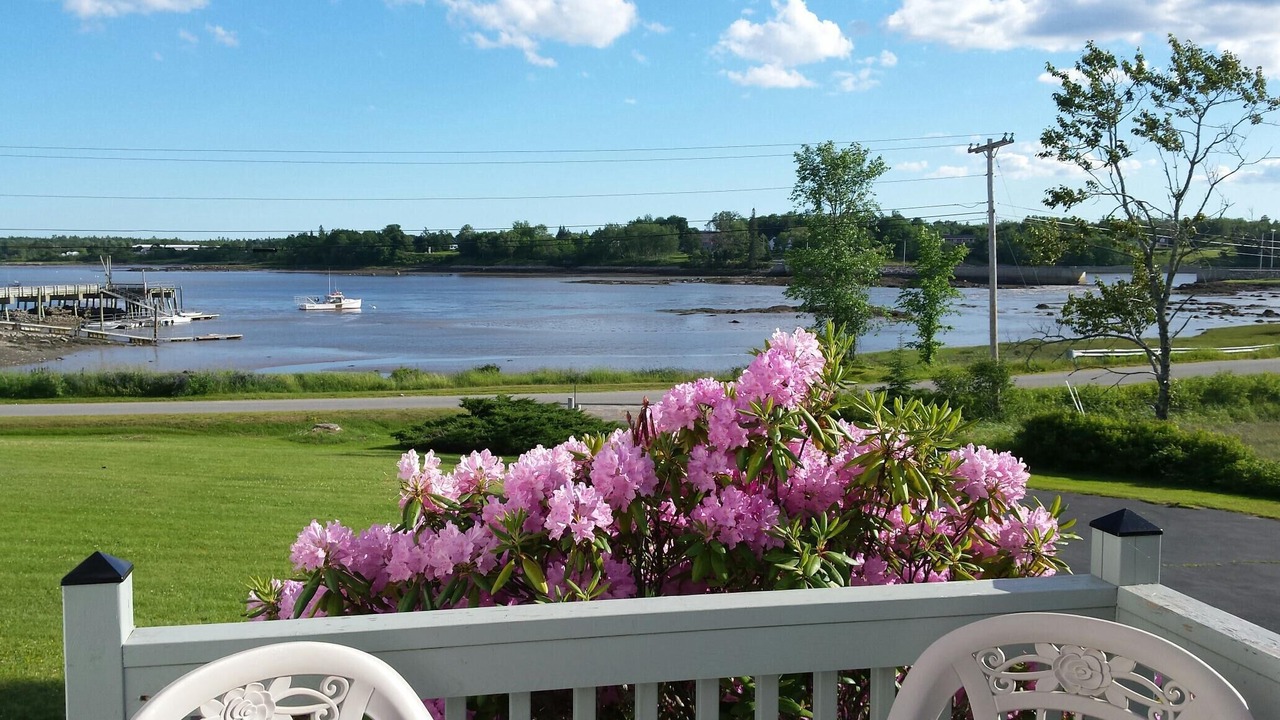 Photo of Outdoor in Milbridge