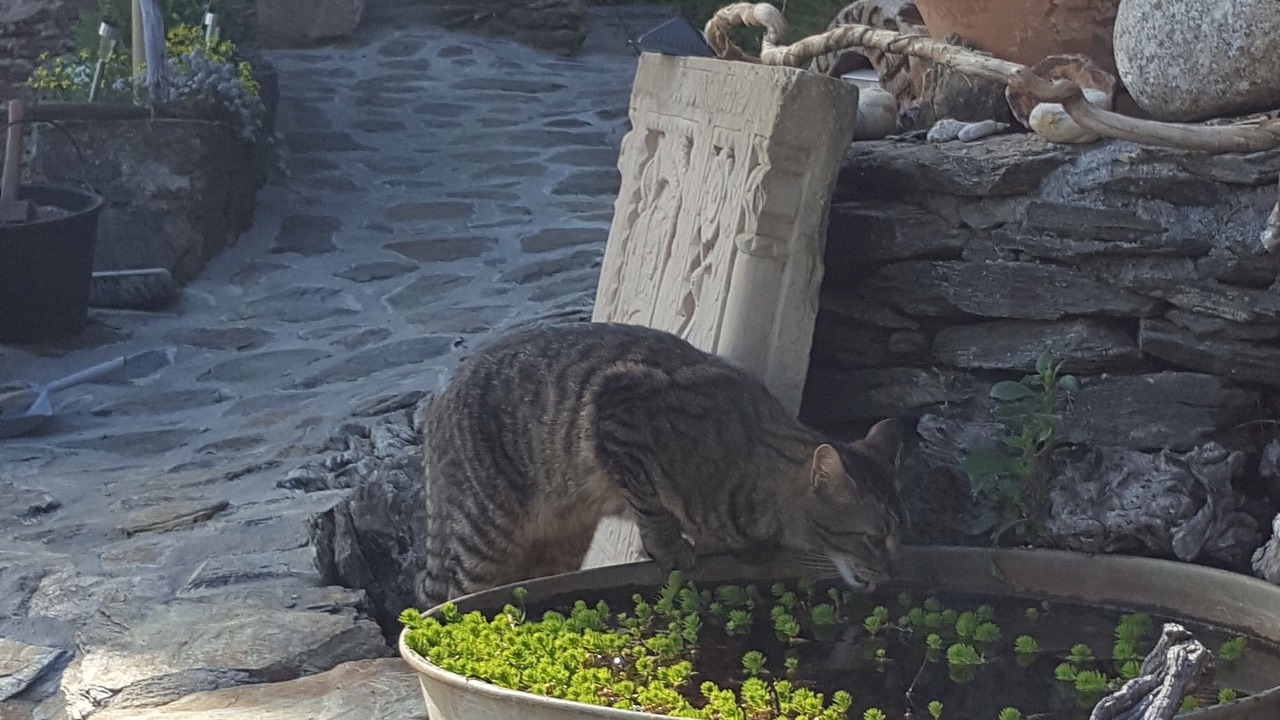 Photo of Outdoor in Malarce-sur-la-Thines