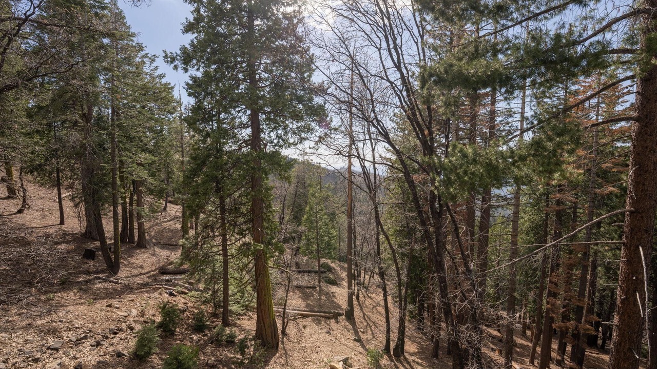 Photo of Outdoor in Yosemite National Park