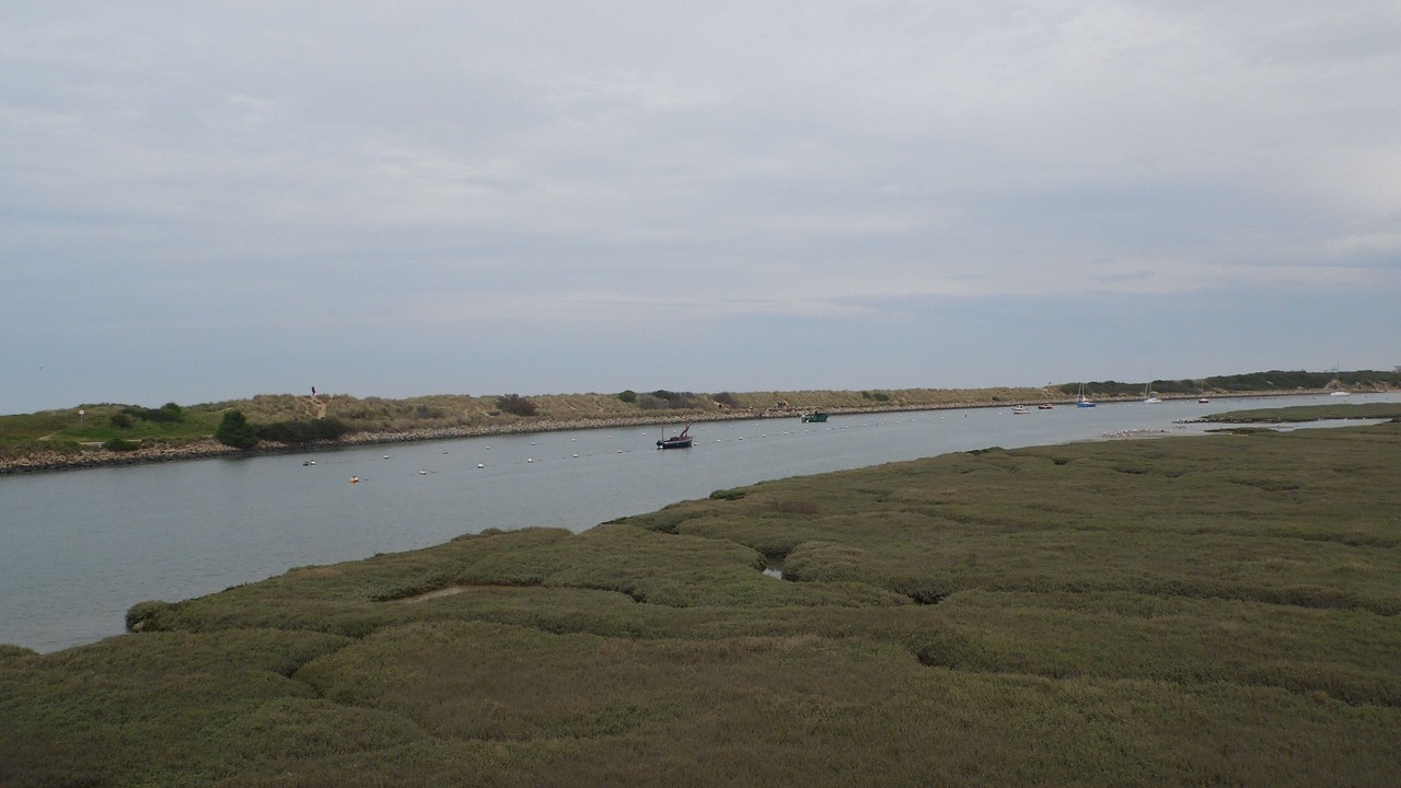 Photo of Others in Dives-sur-Mer