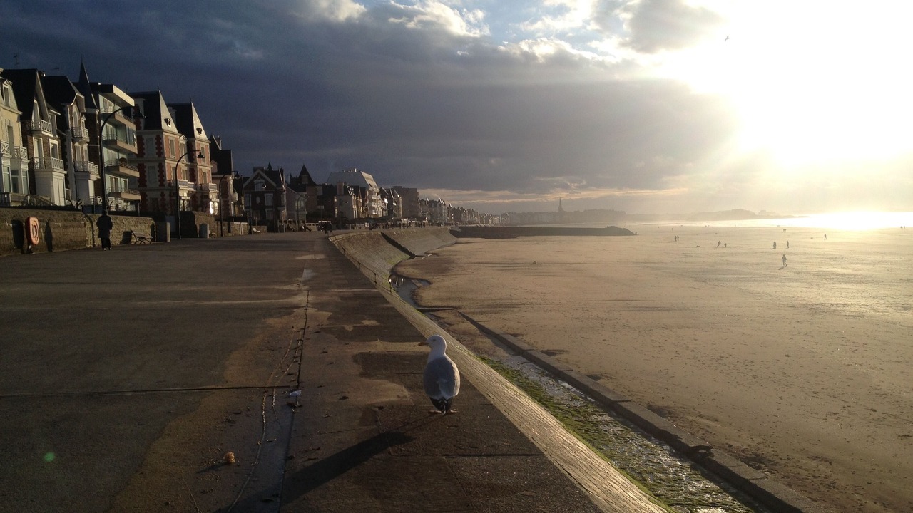 Photo of Others in Courtoisville-Sillon-Moka