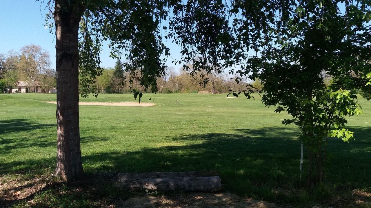 Photo of Outdoor in Fiac