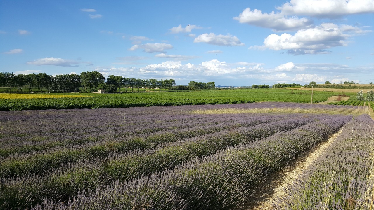 Photo of Outdoor in Saint-Dezery