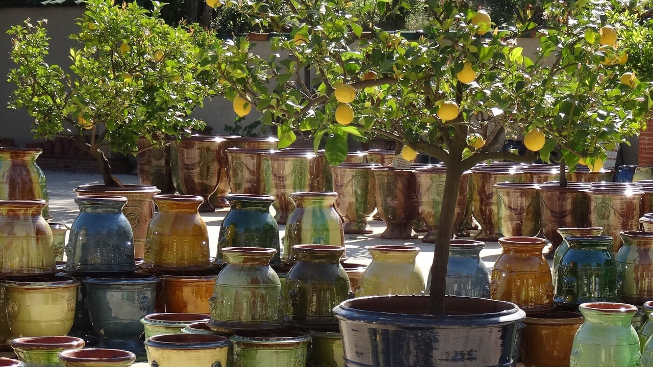 Photo of Outdoor in Saint-Dezery