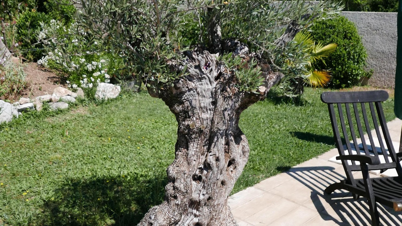 Photo of Outdoor in Grabels