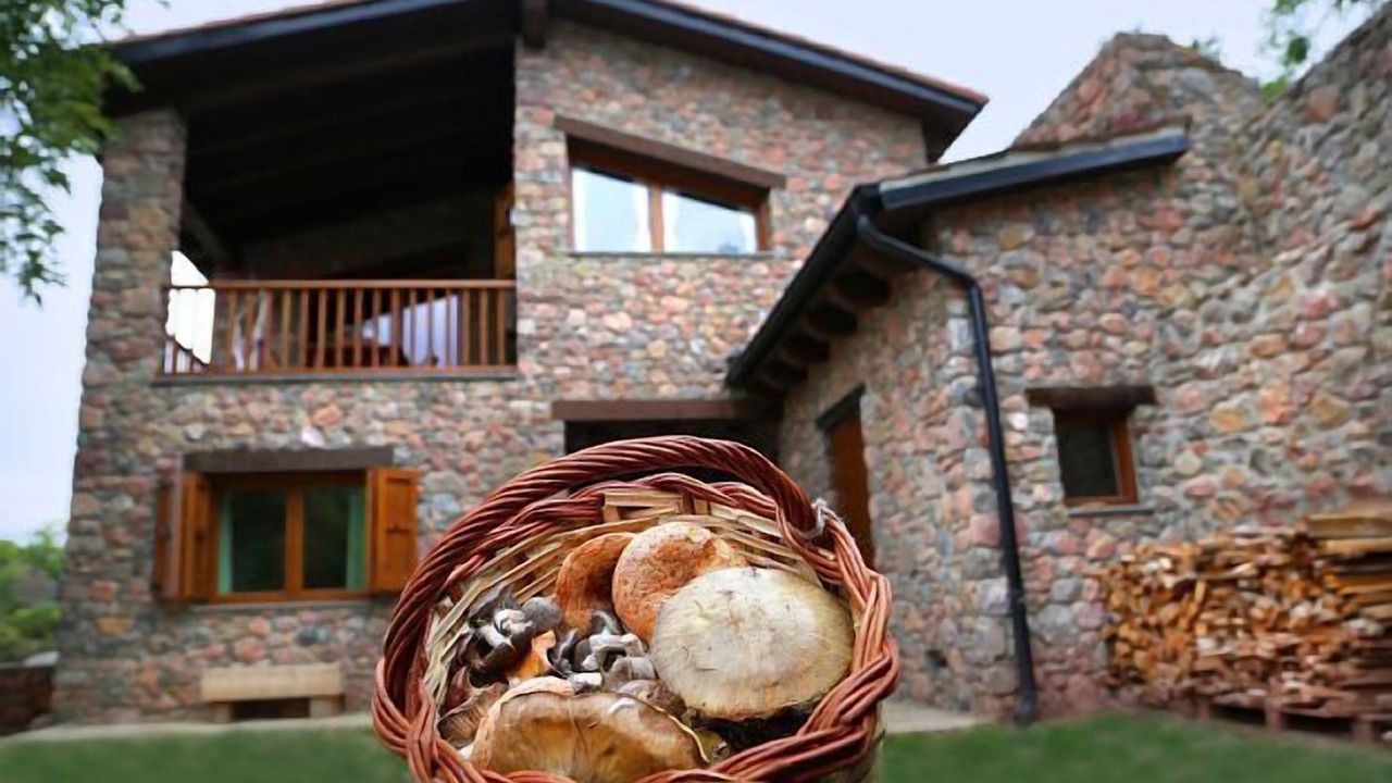 Photo of Outdoor in Cava