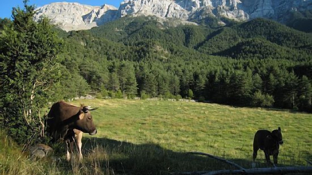 Photo of Outdoor in Cava
