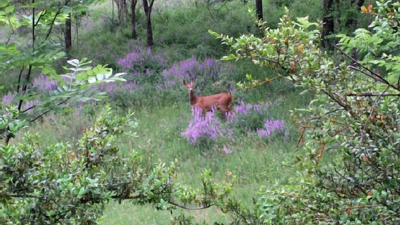 Photo of Outdoor in Cava