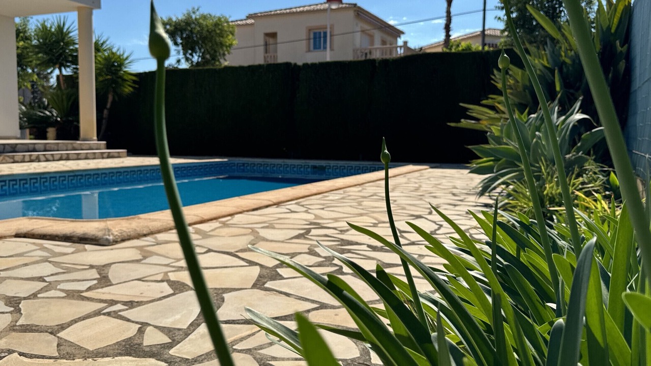 Photo of Outdoor in Els Poblets
