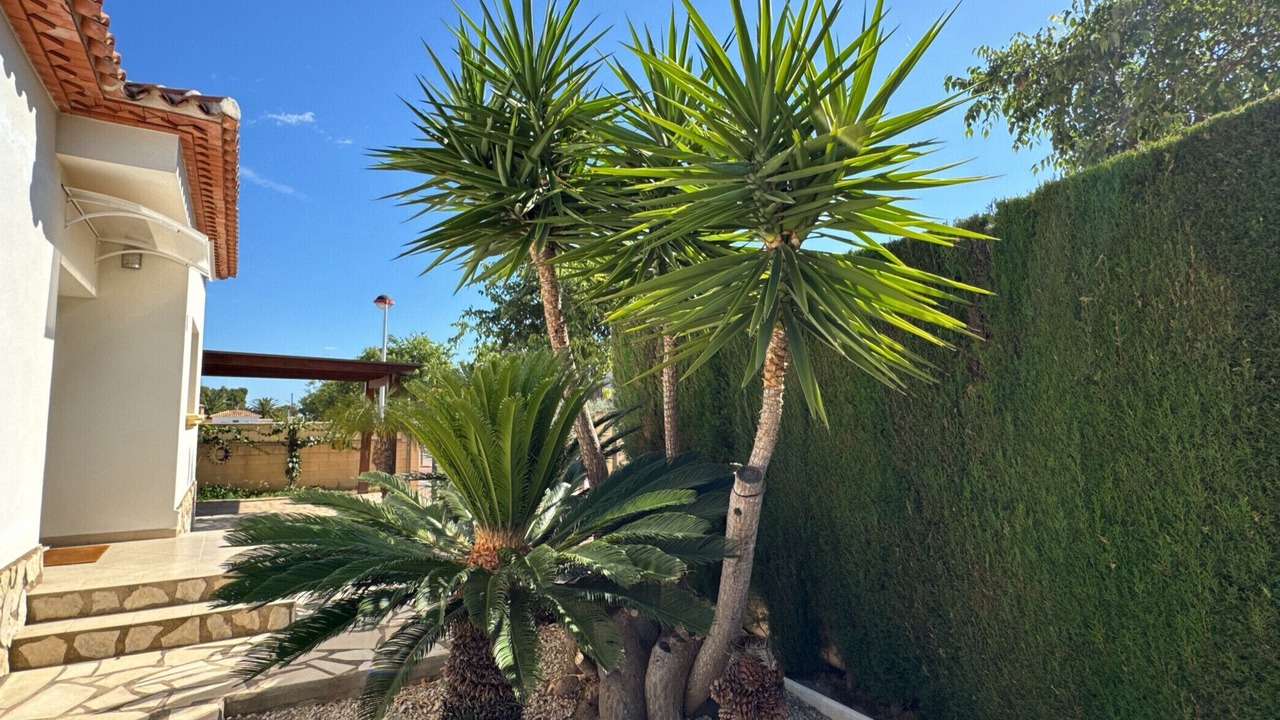 Photo of Outdoor in Els Poblets
