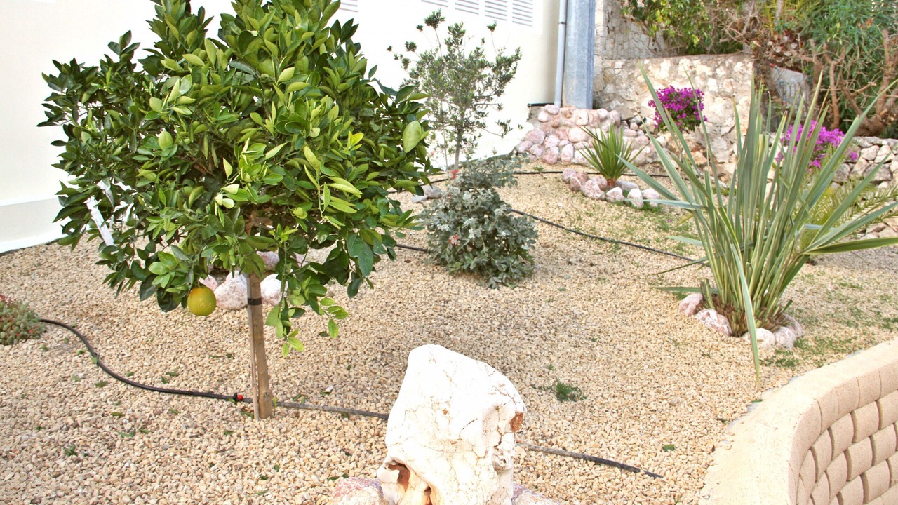 Photo of Others in Calpe